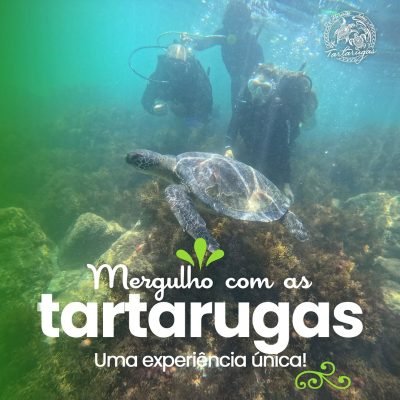 Mergulho com as Tartarugas Mergulho com as Tartarugas